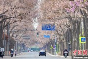 晋江共建“花园城市” 北京这场议政会“百花齐放”