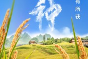 晋江芒种节气小知识来了 夏种作物都有什么？